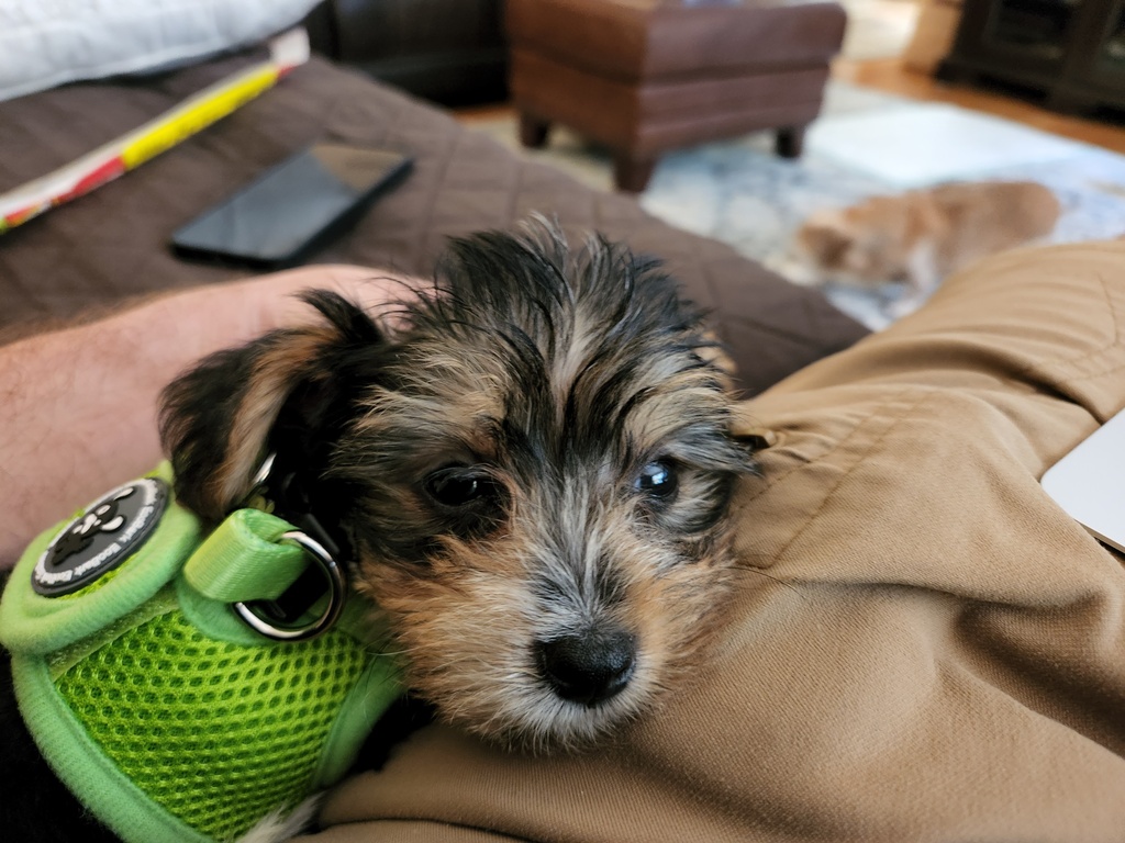 Wesley Kamichoff: images/20220717_111308.jpg