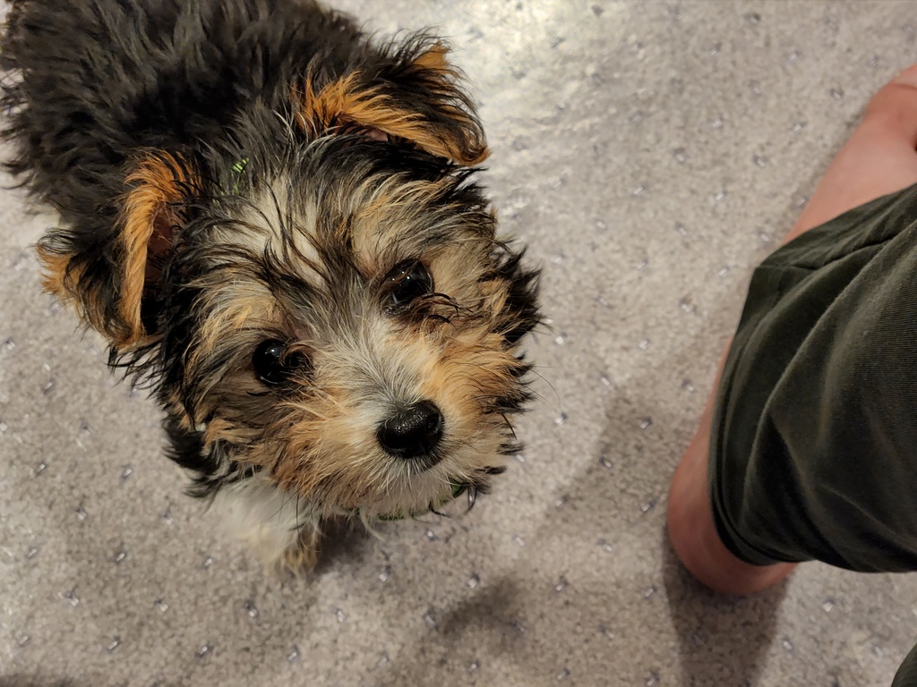 Wesley Kamichoff: images/20220807_205256_sm.jpg