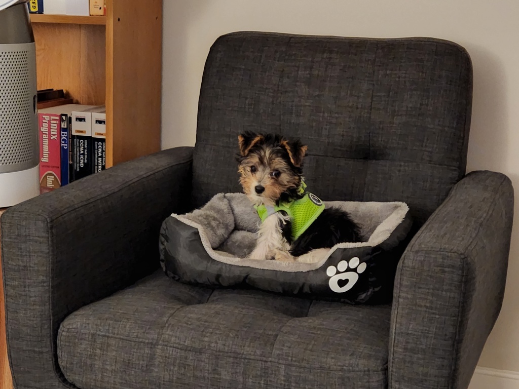 Wesley Kamichoff: images/20220807_205417_sm.jpg