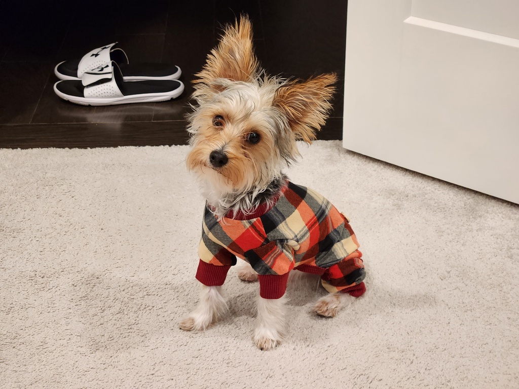 Wesley Kamichoff: images/20221206_210629_t.jpg