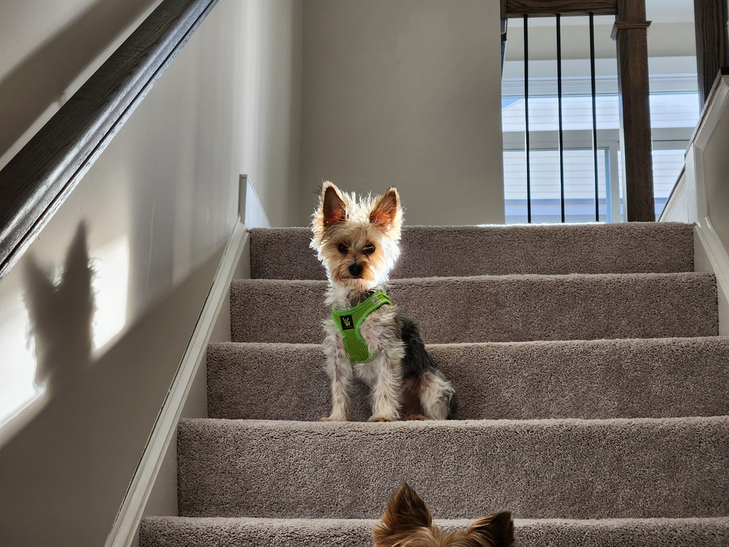 Wesley Kamichoff: images/20230208_091639-sm.jpg